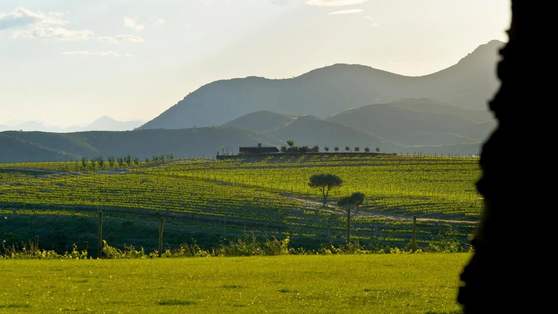 Sa Perafita - Mf Spain